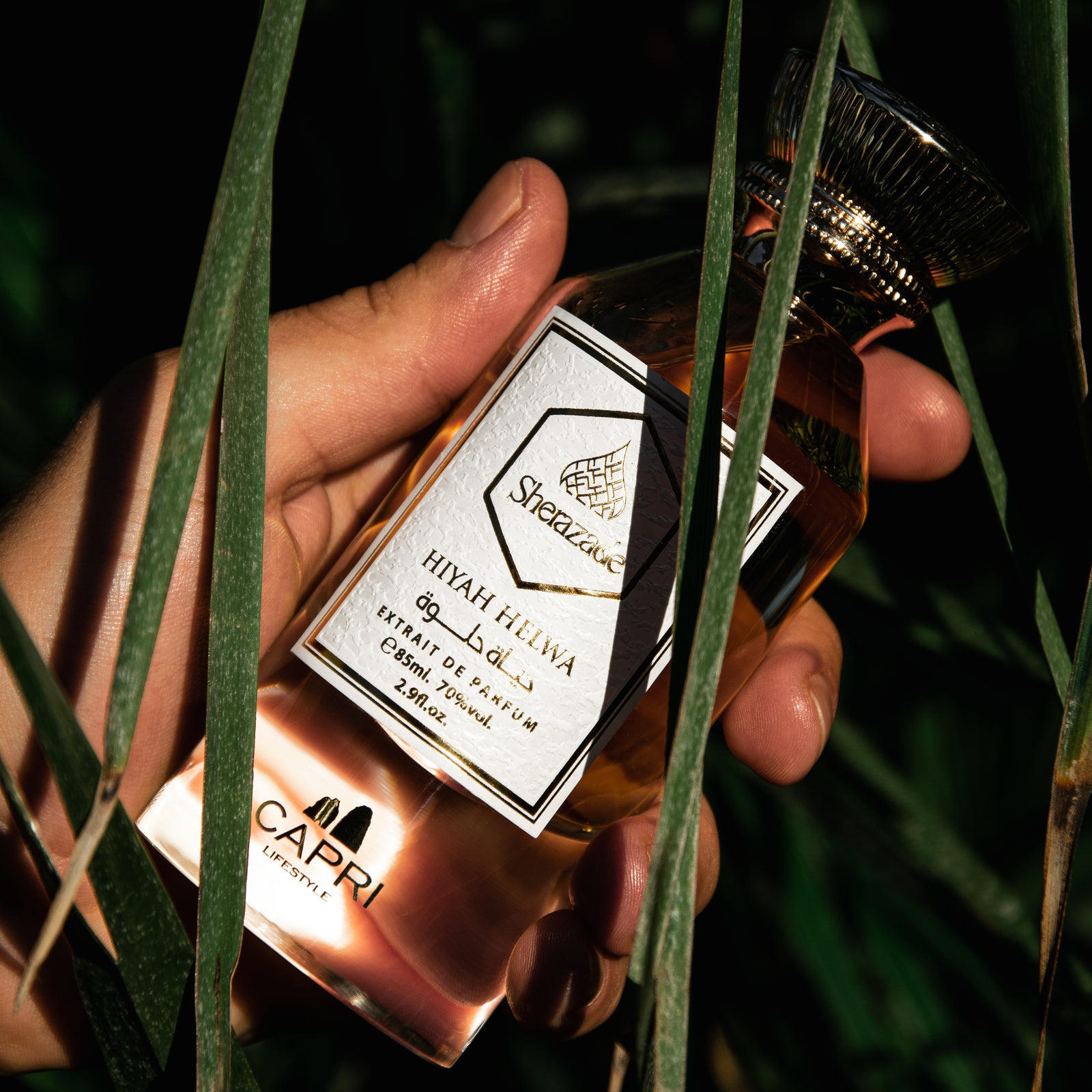 Sherazade Hiyah Helwa