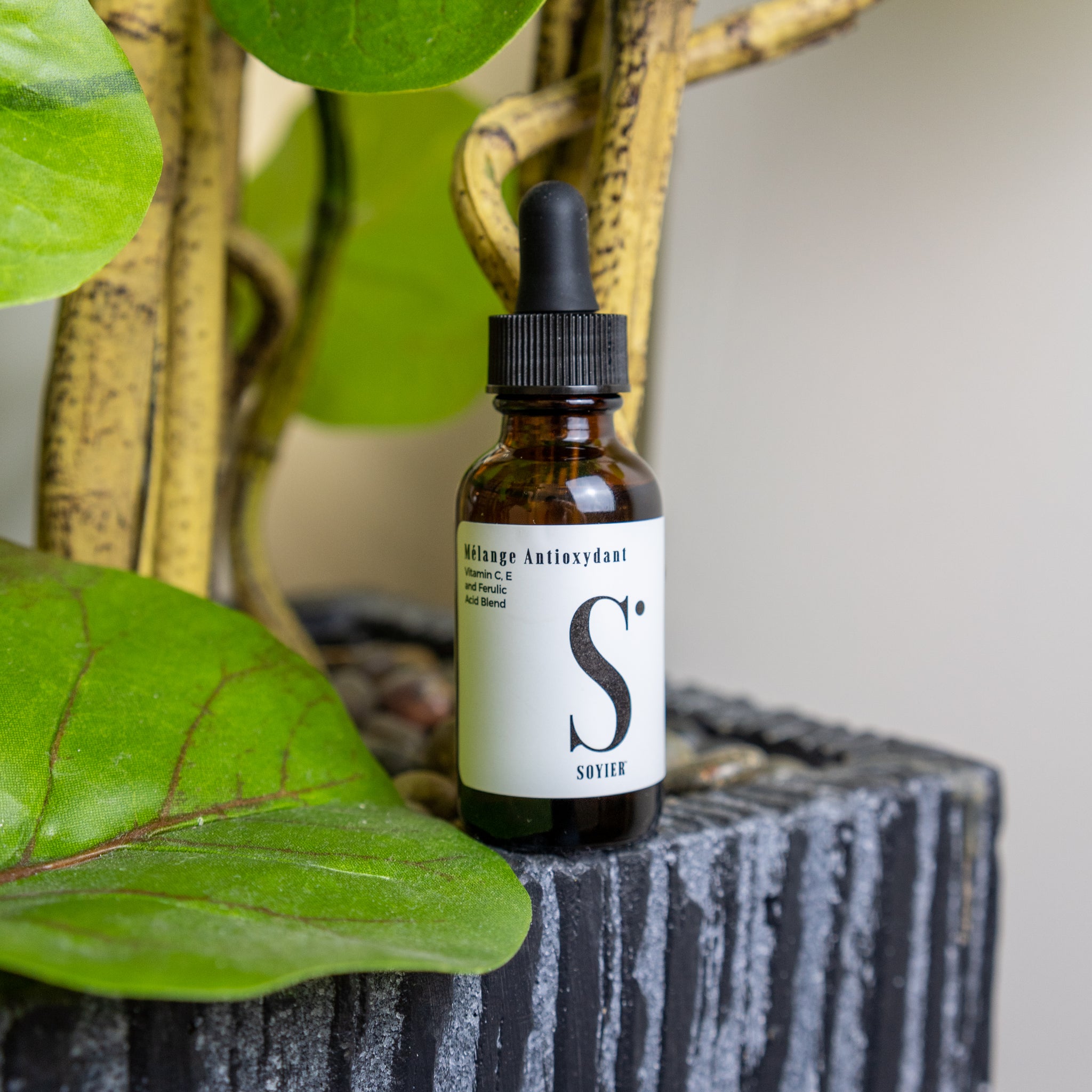 Serums & Oils - Soyier Skin